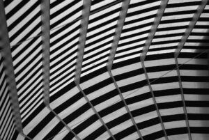 פרגולות אלומיניום מול פרגולות עץ: מהי האפשרות הטובה יותר?